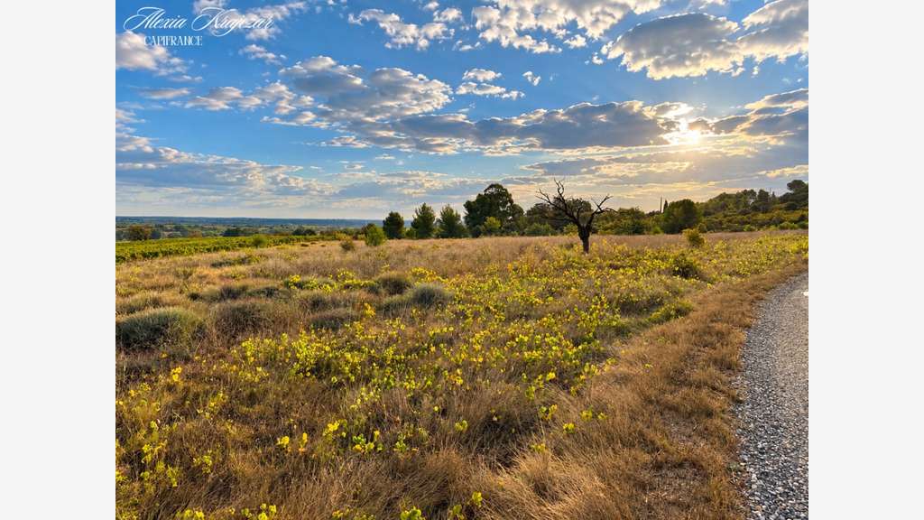 A vendre terrain agricole 10097m² à Corneilhan