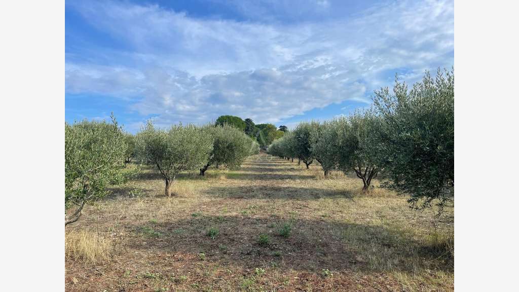 LIEURAN CABRIERES : UN COIN DE PARADIS d'environ 6