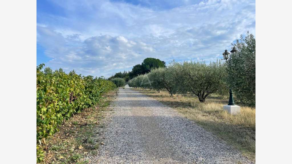 LIEURAN CABRIERES : UN COIN DE PARADIS d'environ 6