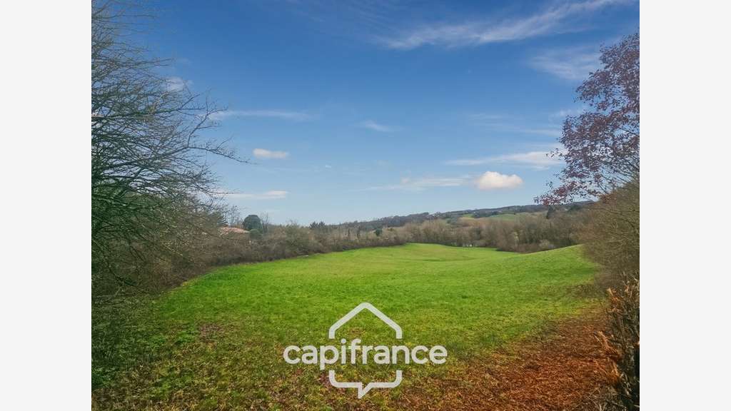 Prairie, terrain de 2.3 hectares avec source