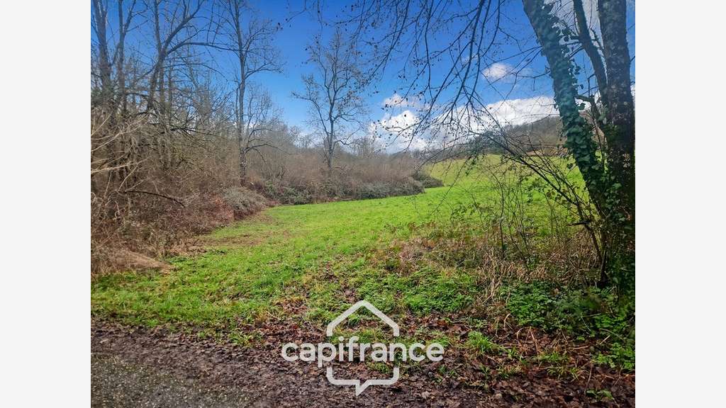 Prairie, terrain de 2.3 hectares avec source