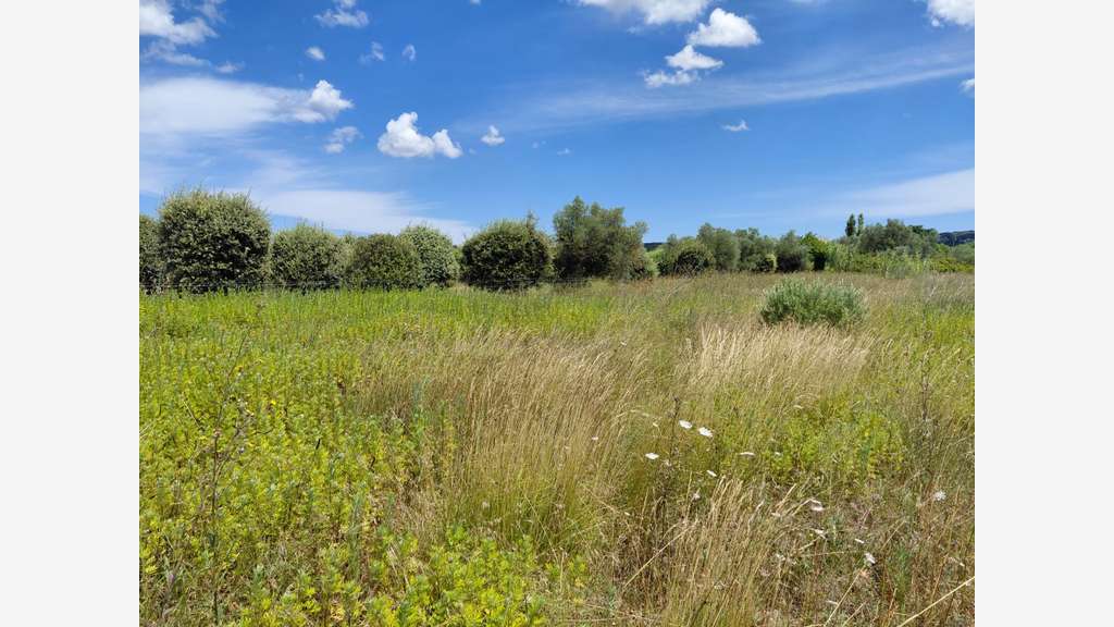 Vente terrain 6640m² avec chênes truffiers - Gard