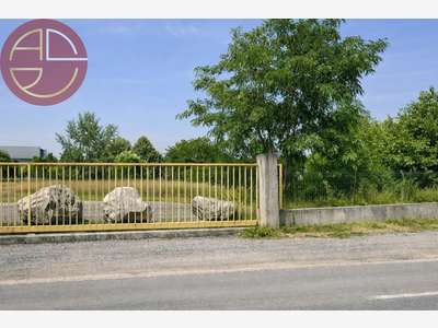 Vente terrain industriel 6000m² Toulouse Nord Est