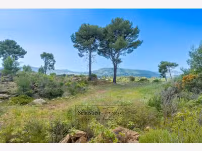Vente terrain agricole vue panoramique au Beausset