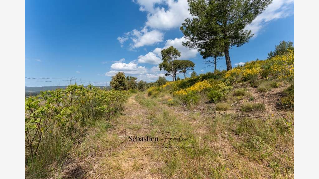 Vente terrain agricole vue panoramique au Beausset