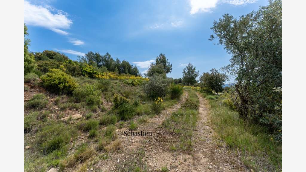 Vente terrain agricole vue panoramique au Beausset