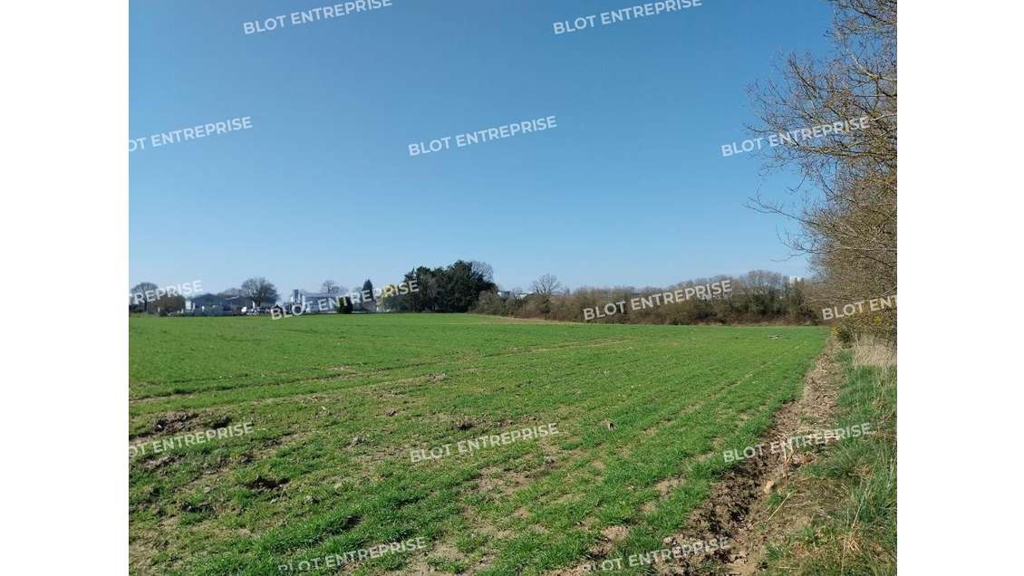 A vendre terrain 25260m² Zone Ui à Allaire