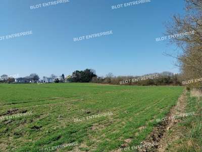 Vente Terrains industriels et agricoles à Allaire