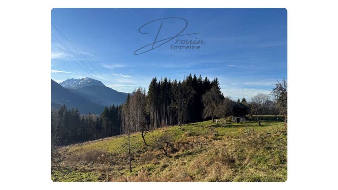 Ensemble de parcelles agricoles Arâches-la-Frasse