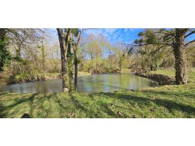 Vente Locaux commerciaux - Boutiques à Charnizay