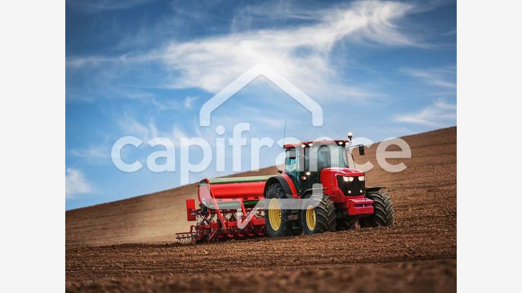 A vendre terrain agricole 3.7ha à Claira