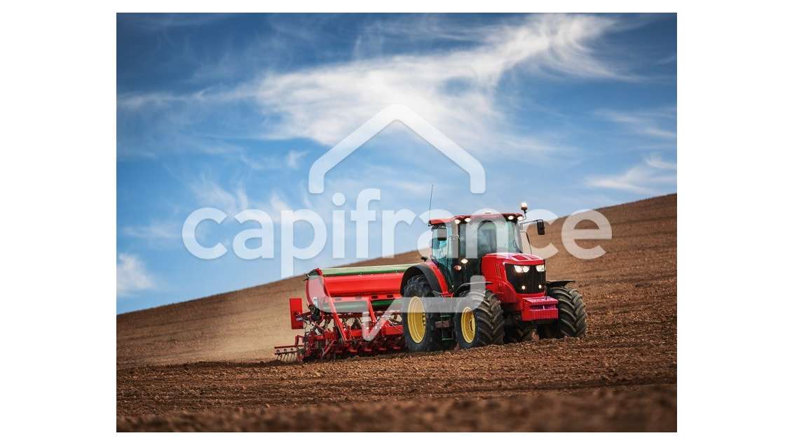 A vendre terrain agricole 3.7ha à Claira