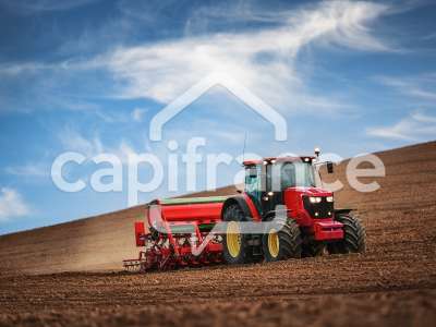 A vendre terrain agricole 3.7ha à Claira