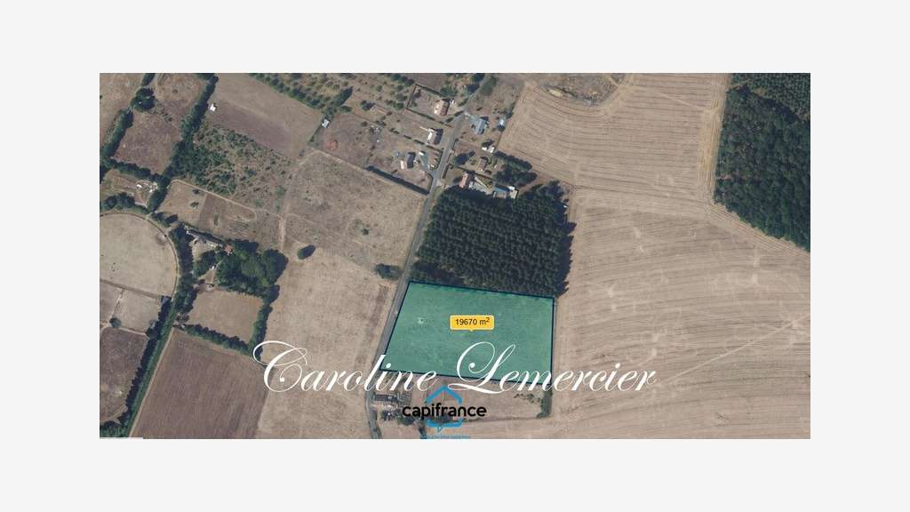 Terrain 2ha à vendre proche de Connerré