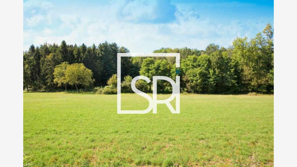 Cède terrain 1237m² emplacement stratégique Cusset