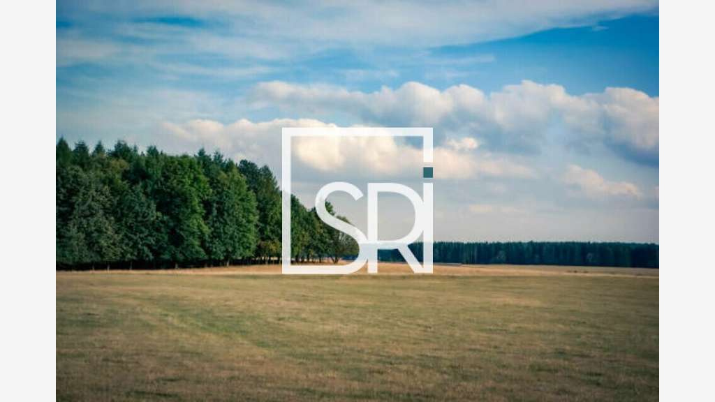 Cède terrain 1237m² emplacement stratégique Cusset