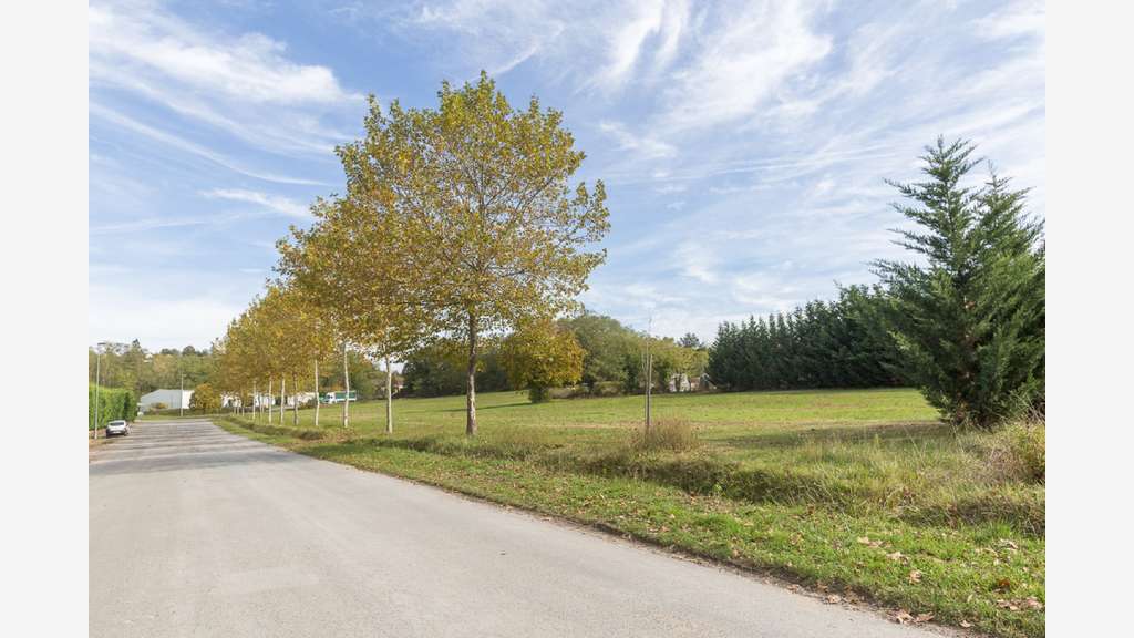 À vendre – terrains divisibles de 7 000 m² à Dreva