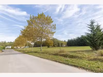 À vendre – terrains divisibles de 7 000 m² à Dreva