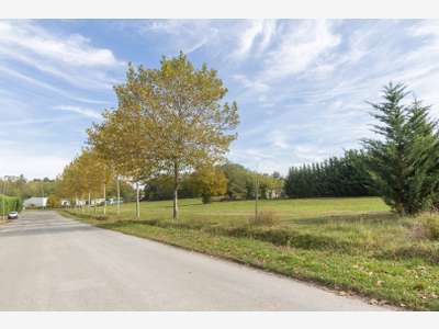 À vendre – terrains divisibles de 7 000 m² à Dreva