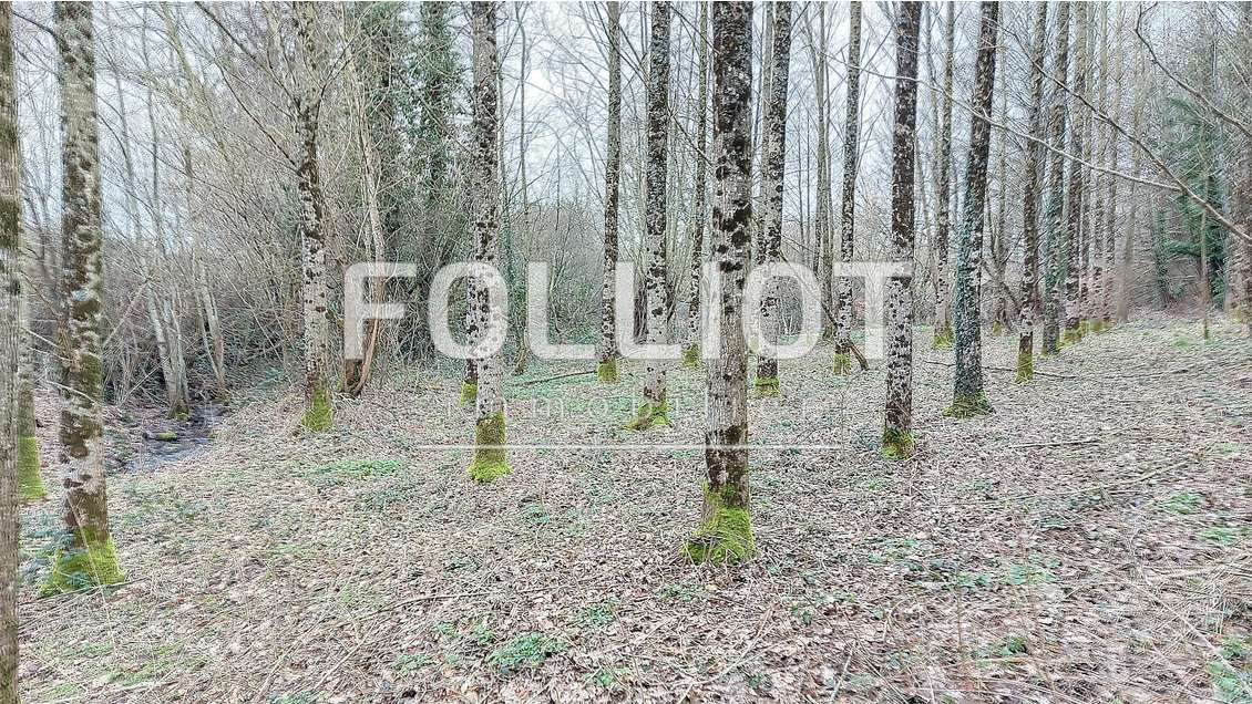 A vendre terrain 2217m² avec cours d'eau Hocquigny