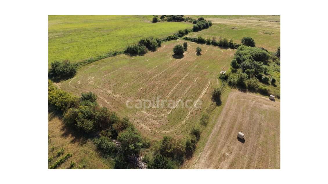 Parcelle agricole 5800 m² - JUNAS (GARD)
