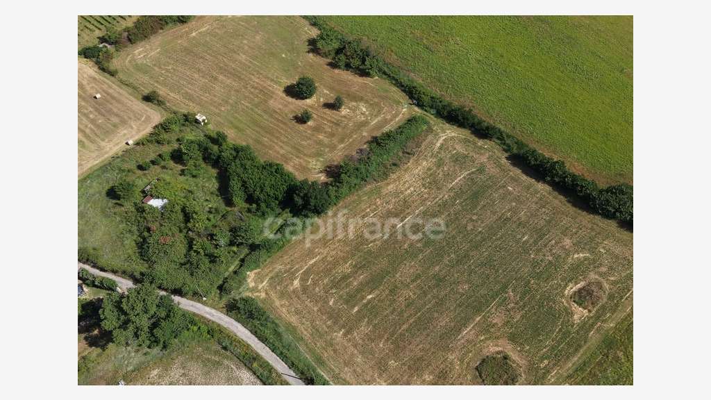 Parcelles agricoles 12 000 m² - JUNAS (GARD)