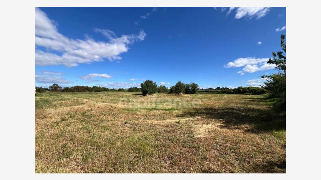 Parcelles agricoles 12 000 m² - JUNAS (GARD)