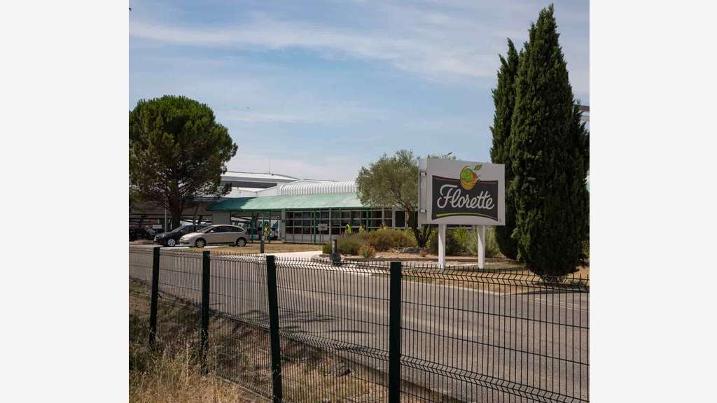 À vendre – Terrains industriels dans la zone d'