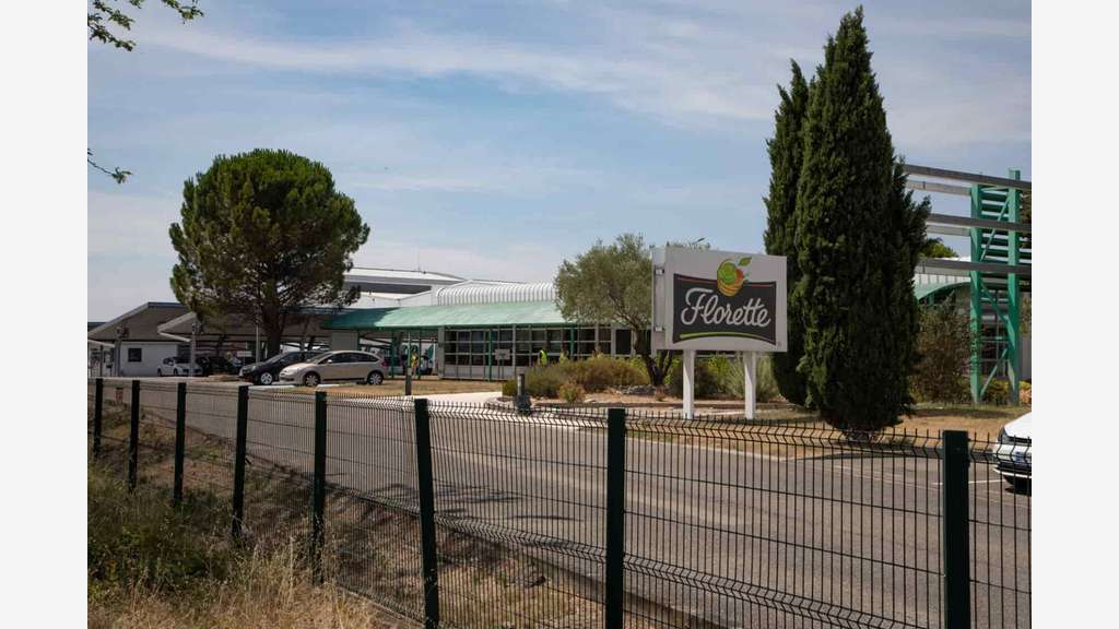 À vendre – Terrains industriels dans la zone d'