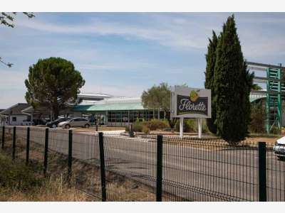 À vendre – Terrains industriels dans la zone d'