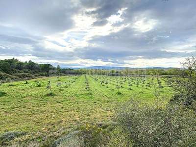Vente Terrains industriels et agricoles à Lézignan-Corbières