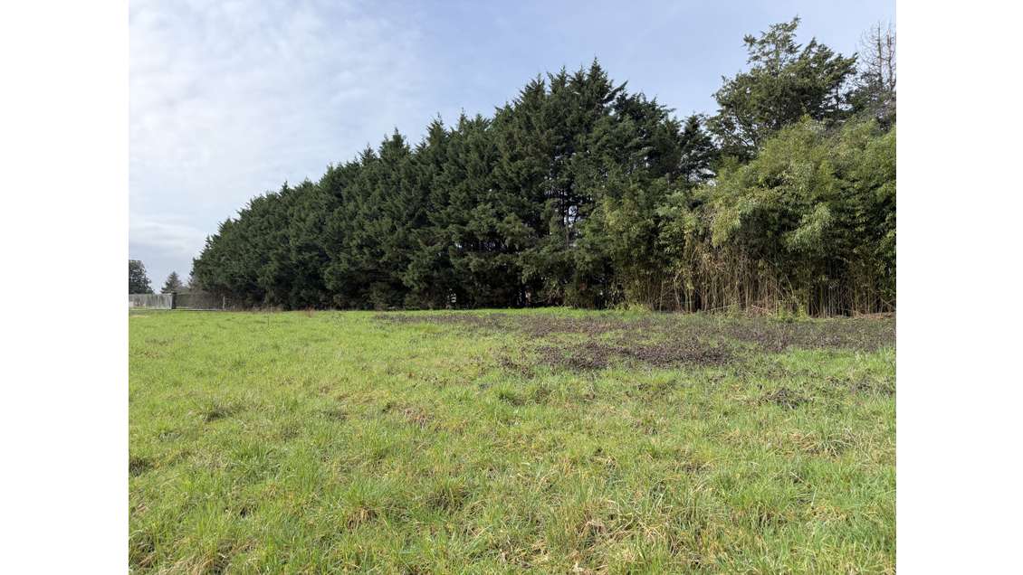 Terrain constructible de 3300m2