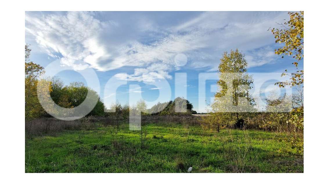 Vente terrain agricole 43800m² à à Marsillargues