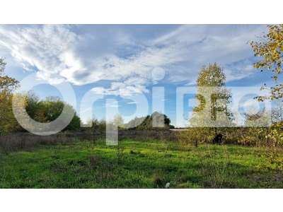 Vente Terrains industriels et agricoles à Marsillargues