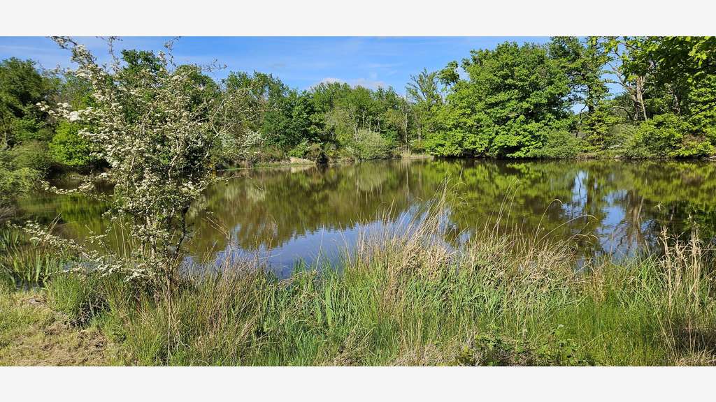 AV maison d'eau à rénover dans la Brenne 596000€