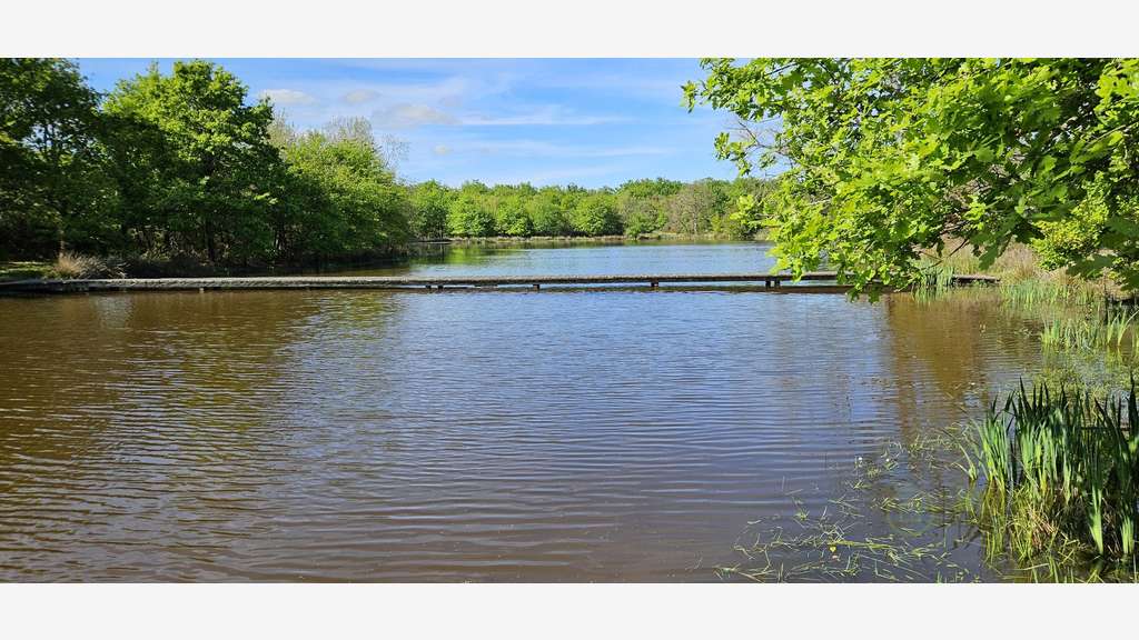 AV maison d'eau à rénover dans la Brenne 596000€