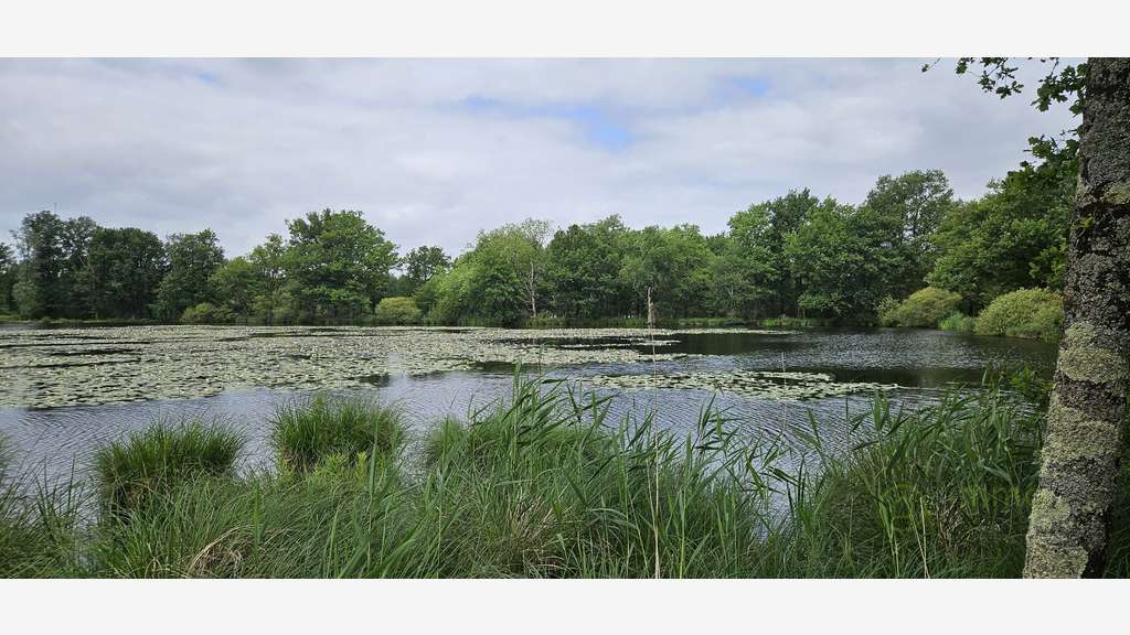 AV maison d'eau à rénover dans la Brenne 596000€