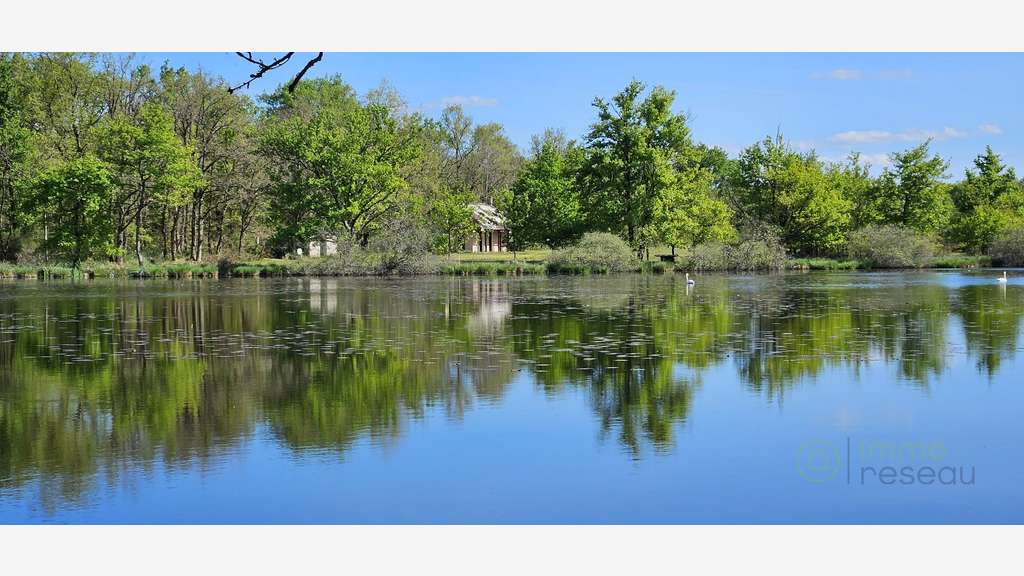 AV maison d'eau à rénover dans la Brenne 596000€