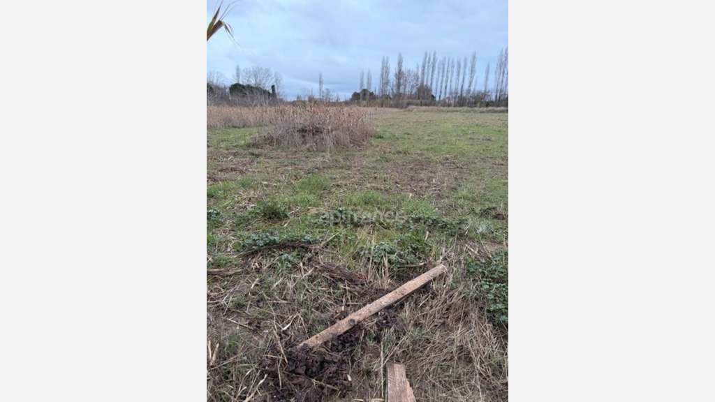 Rare!!! Terrain agricole constructible Narbonne