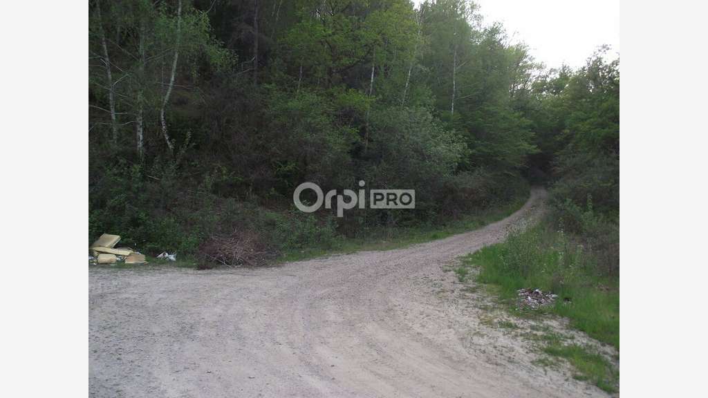 Vente carrière et bois sur Naves