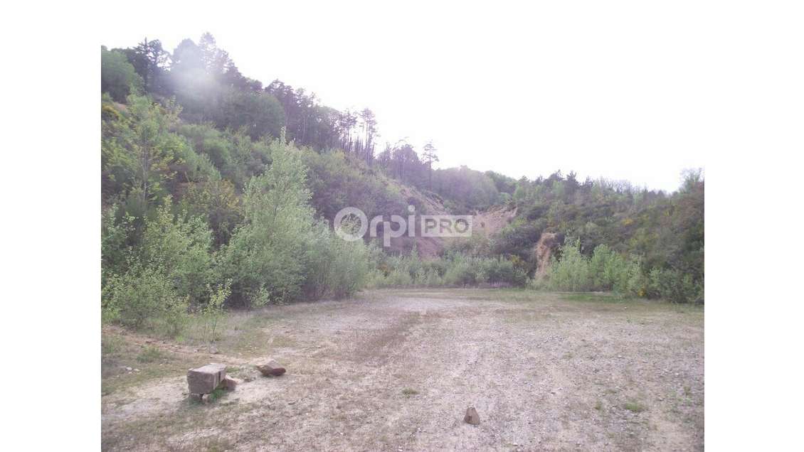Vente carrière et bois sur Naves