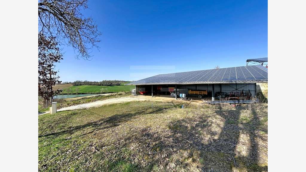 A vendre ténement foncier 157 ha  sur Nérac