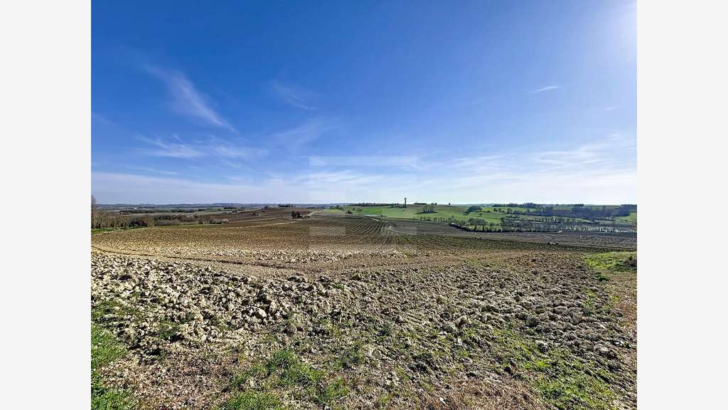 A vendre ténement foncier 157 ha  sur Nérac