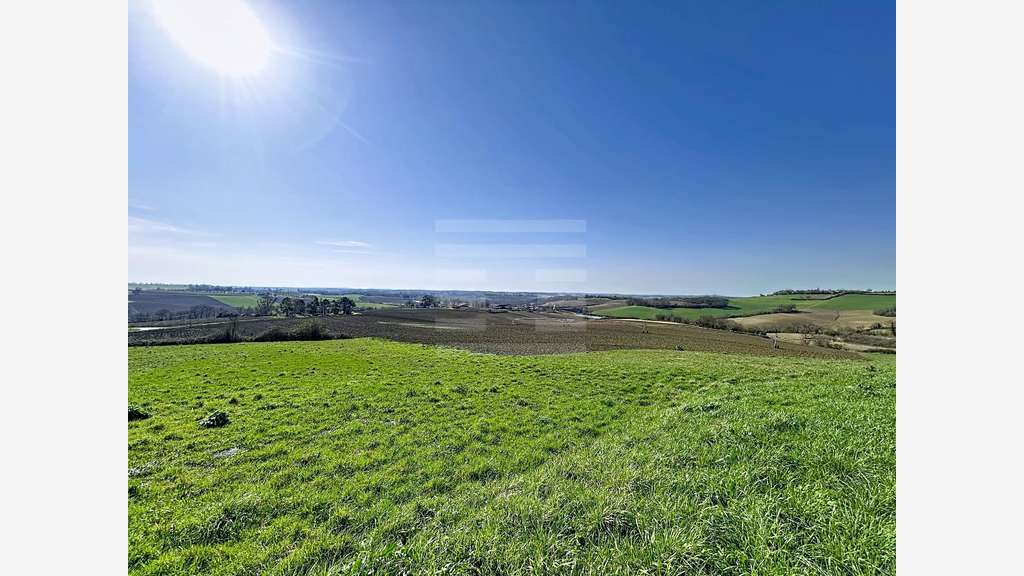 A vendre ténement foncier 157 ha  sur Nérac