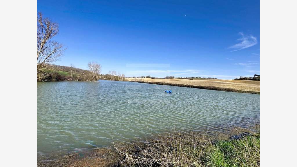 A vendre ténement foncier 157 ha  sur Nérac