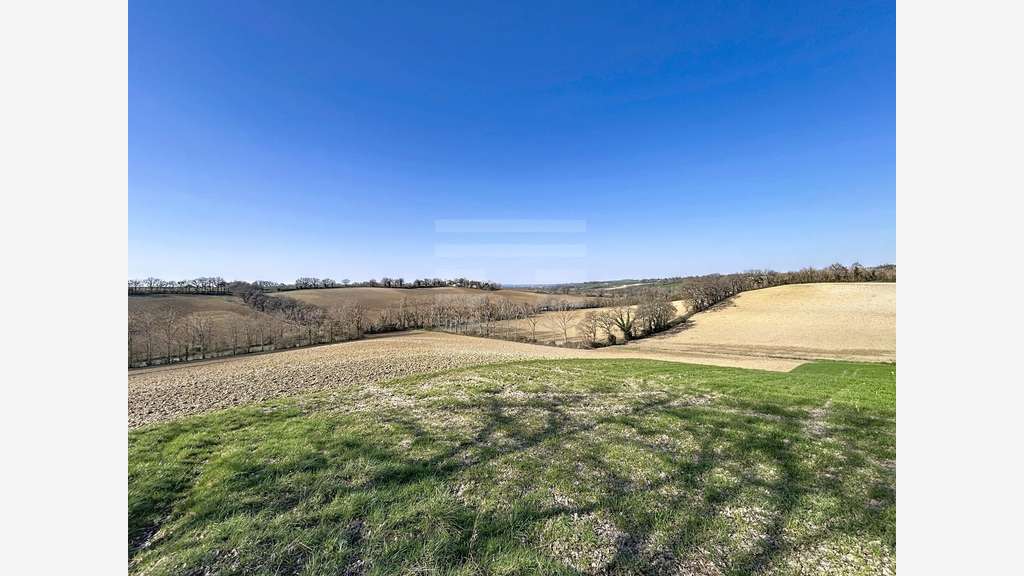 A vendre ténement foncier 157 ha  sur Nérac
