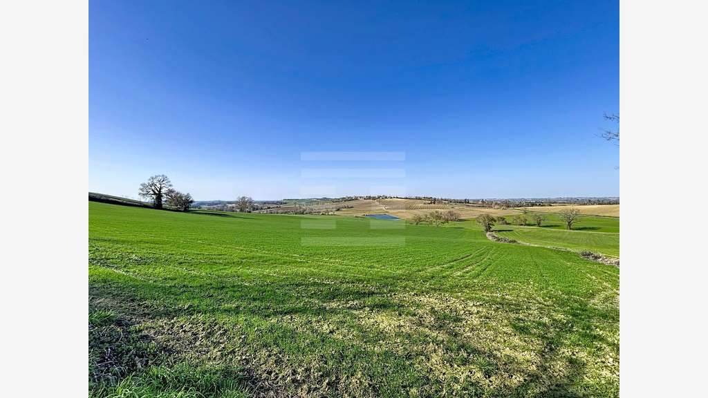 A vendre ténement foncier 157 ha  sur Nérac