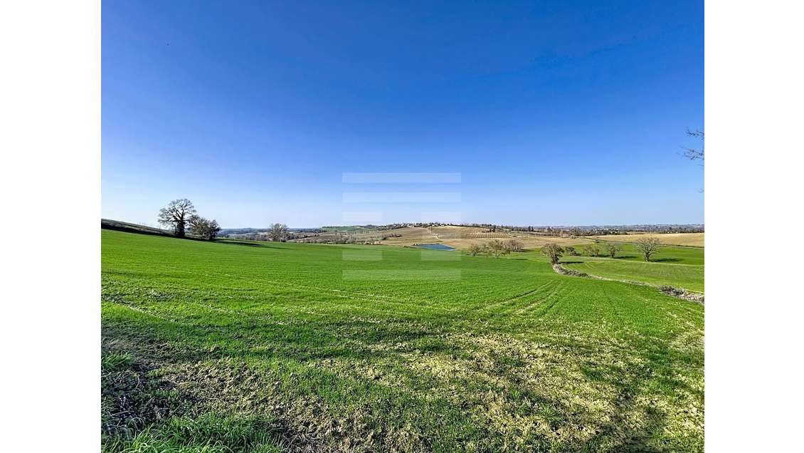A vendre ténement foncier 157 ha  sur Nérac