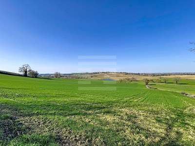 A vendre ténement foncier 157 ha  sur Nérac
