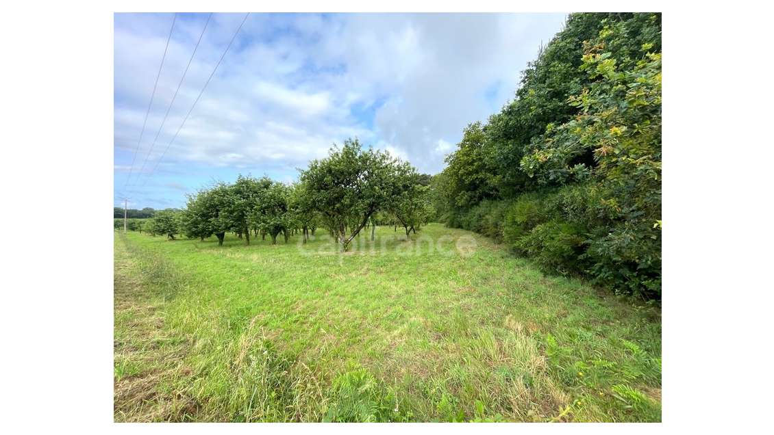 AV terrain agricole 12000m² avec verger à Nivillac
